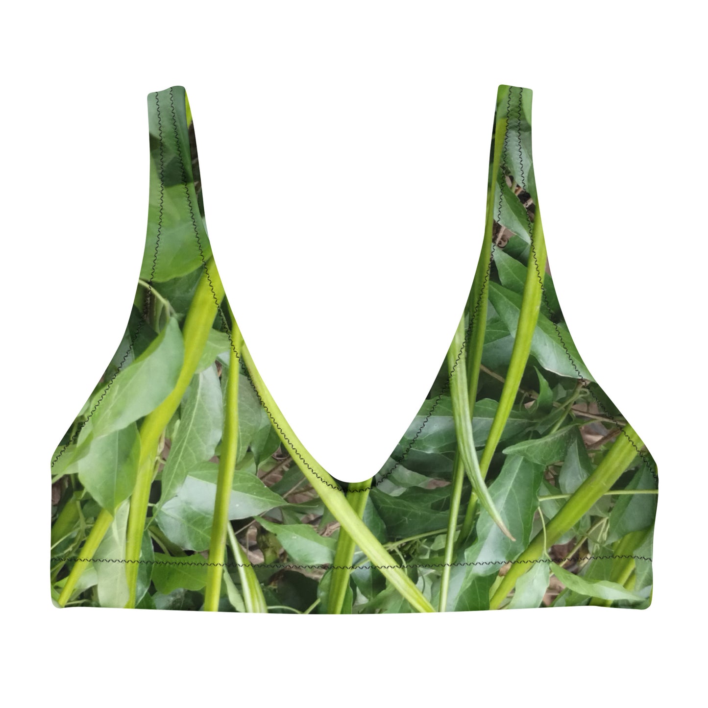 RoylemBuilt Nature-Print Recycled Padded Bikini Top